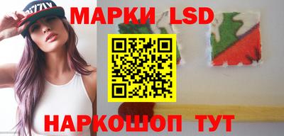 apvp Славгород