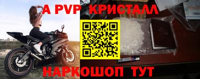 apvp Славгород
