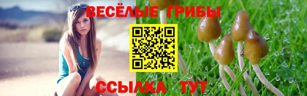 Галлюциногенные грибы Cubensis  дарнет шоп  Галлюциногенные грибы MAGIC MUSHROOMS  Нурлат  Вход с VPN 